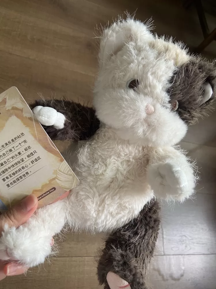 BABA DOLL「没有猫」   官网正品定价328玩偶➕头套➕小卡 超级萌! …图片2