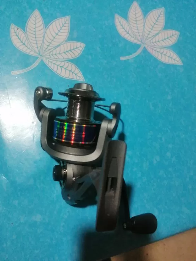 漠墨鱼发布的动态配图5