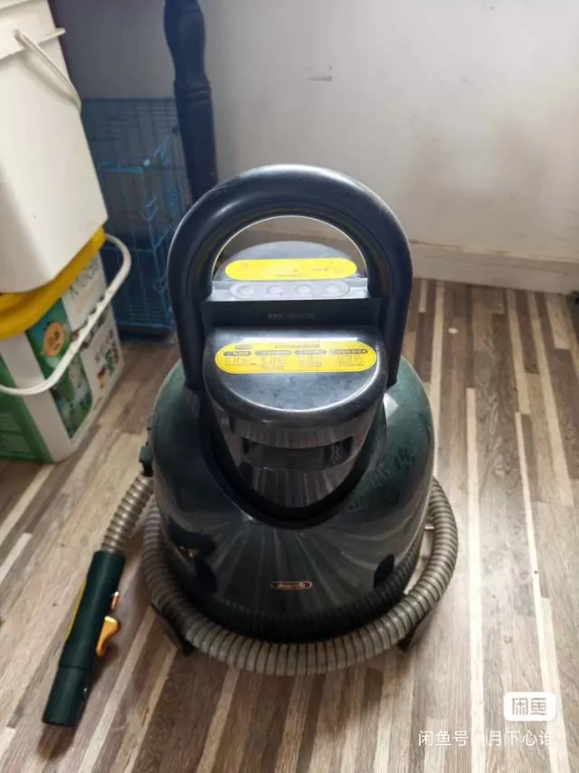 德尔玛BY700布艺清洗机，绿色款，家用蒸汽喷抽吸一体，适合沙发、地毯、窗帘、床…