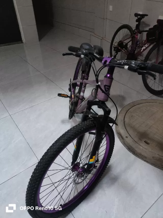 闲置山地自行车，变速顺畅，减震完好，刹车灵敏，胎纹还很深，没怎么造过。上下班、代…