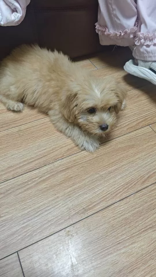 卡哇伊发布的动态配图7