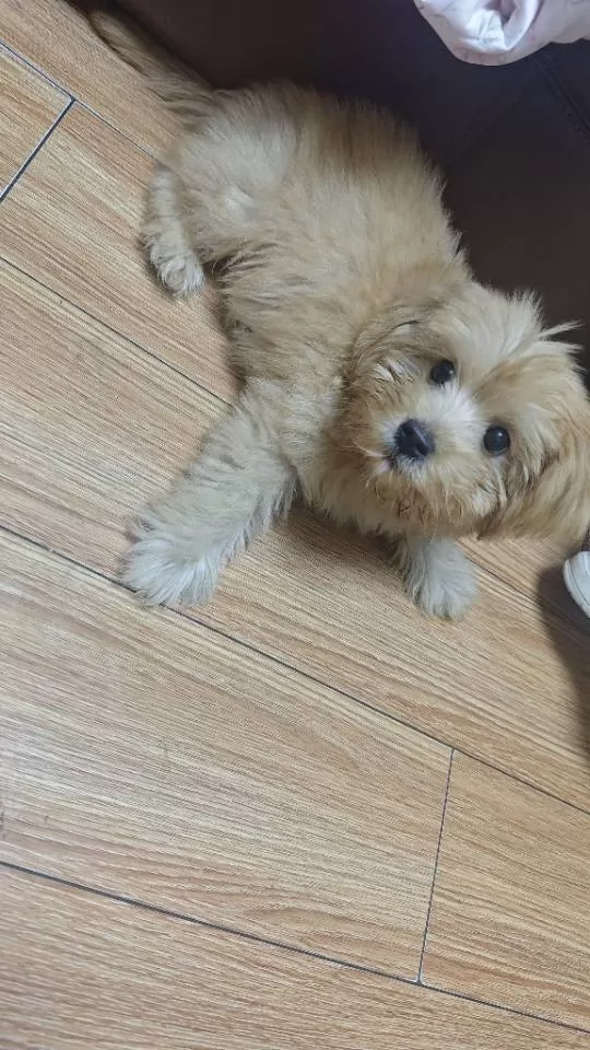 卡哇伊发布的动态配图9