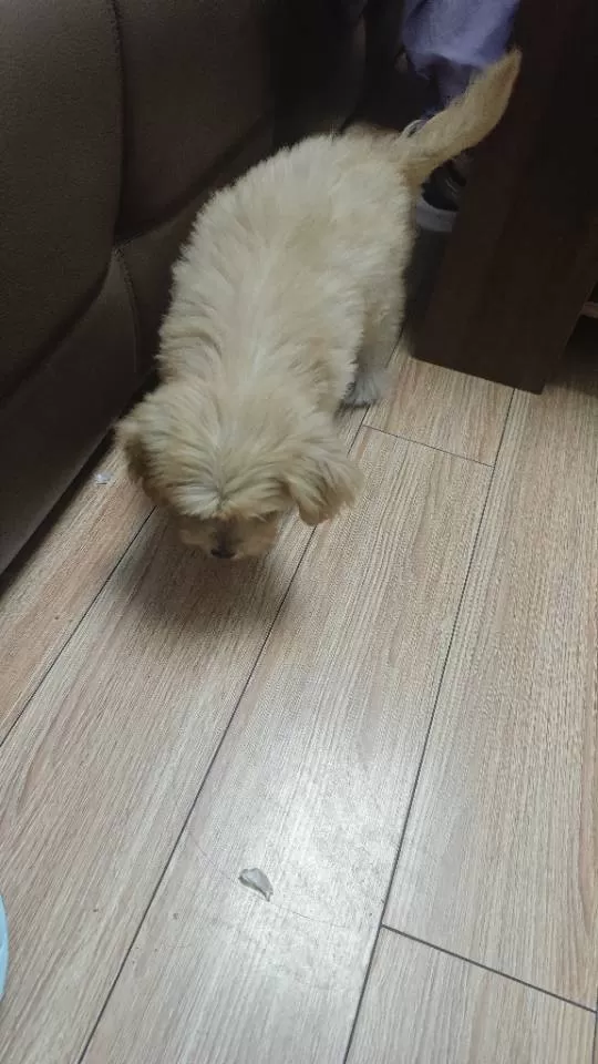 卡哇伊发布的动态配图3