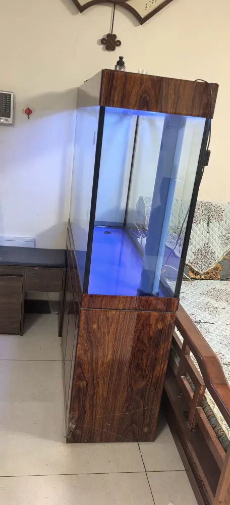 自用鱼缸，因家里玄关改造，腾出位置摆放边柜，忍痛转出。✅缸体完好，玻璃通透，无漏…
