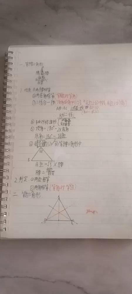 初三学期复习数学资料，中考必考知识点集结，重要信息已填涂，