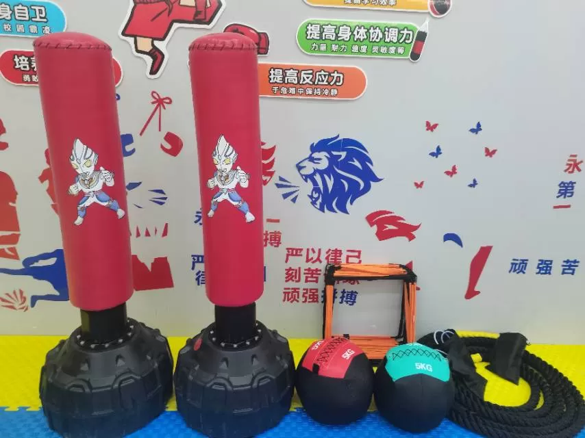 大同区武术健身馆关闭了，器材基本全新，有拼接地垫，沙袋，拳脚靶，木人桩，跳绳，战…图片5