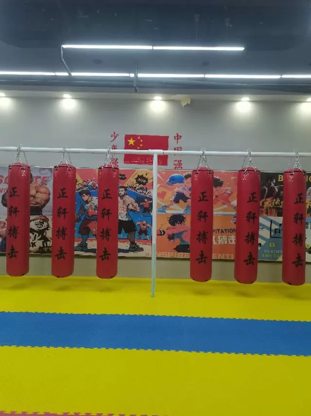 大同区武术健身馆关闭了，器材基本全新，有拼接地垫，沙袋，拳脚靶，木人桩，跳绳，战…图片2