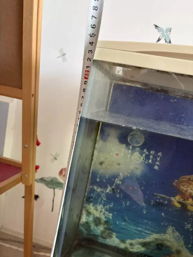 鱼缸配套齐全五连自提图片2
