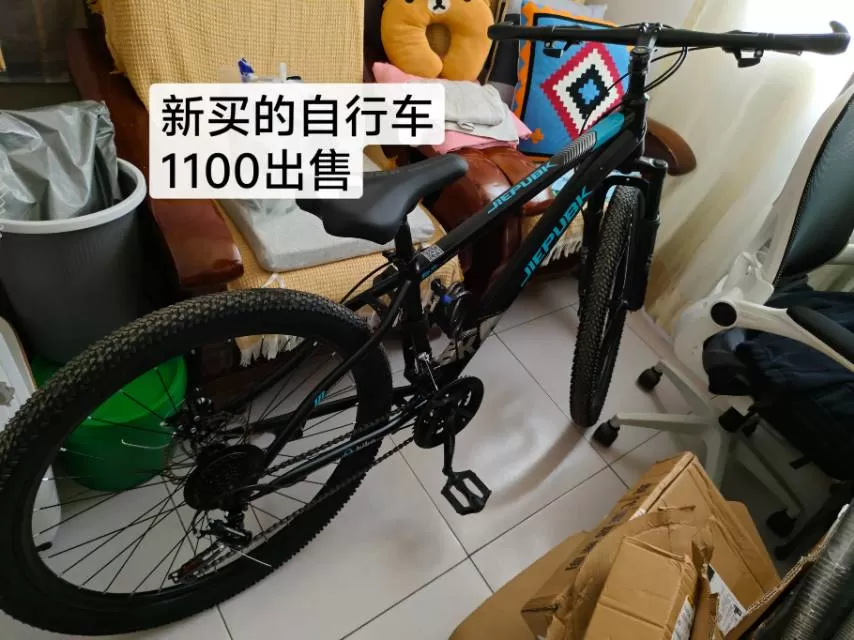 买的新车2100元，买来孩子上班一次也没骑出过，为了腾地方贱卖800元