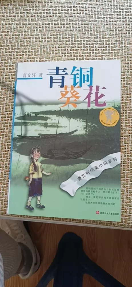 影响孩子一生的励志书籍6本图片2