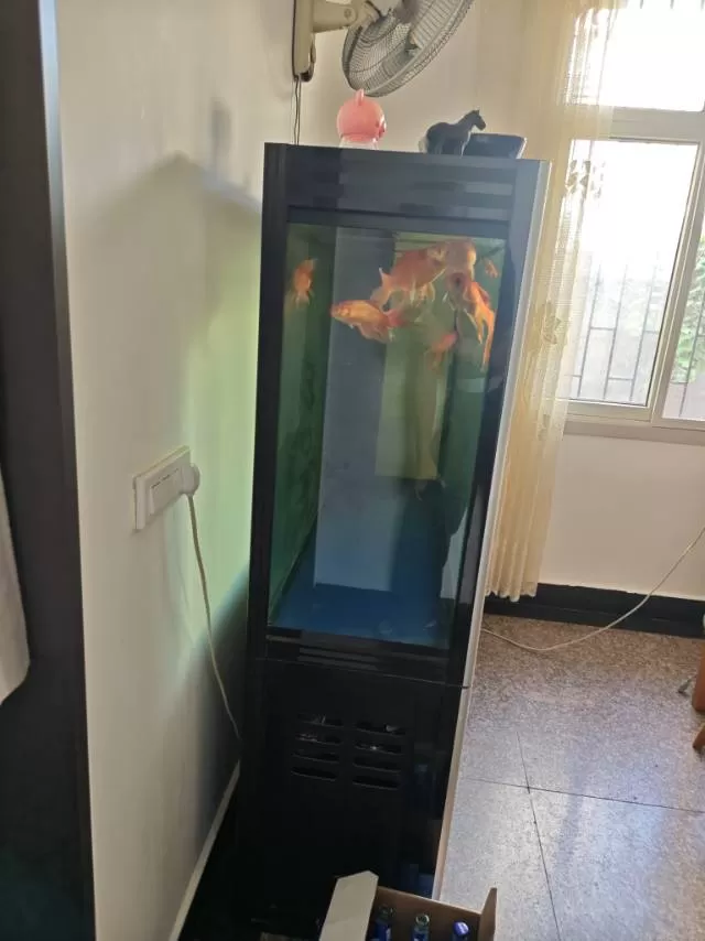 小祝发布的动态配图2