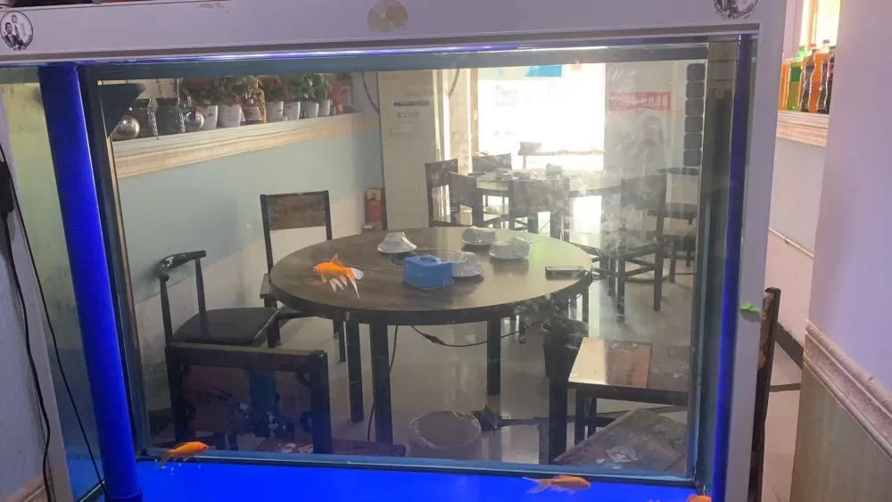 冰是睡着的水发布的动态配图1