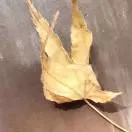 温州瑞安头像