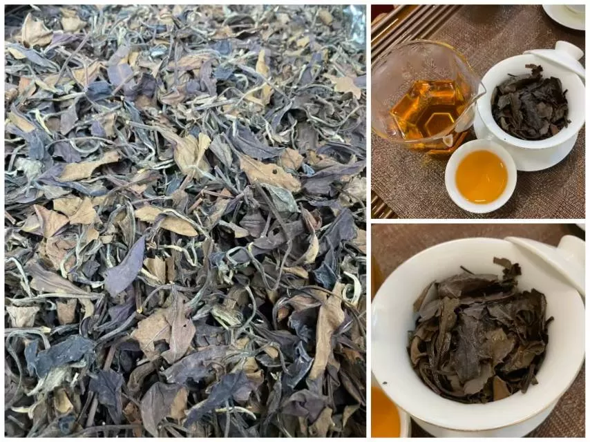 滚滚滚发布的动态配图1