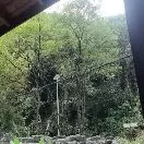 珍头像