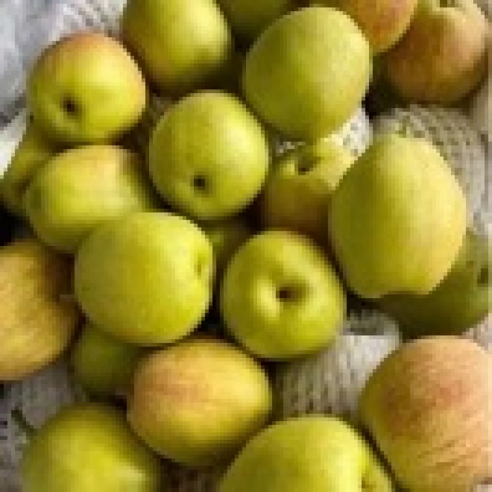李霞头像