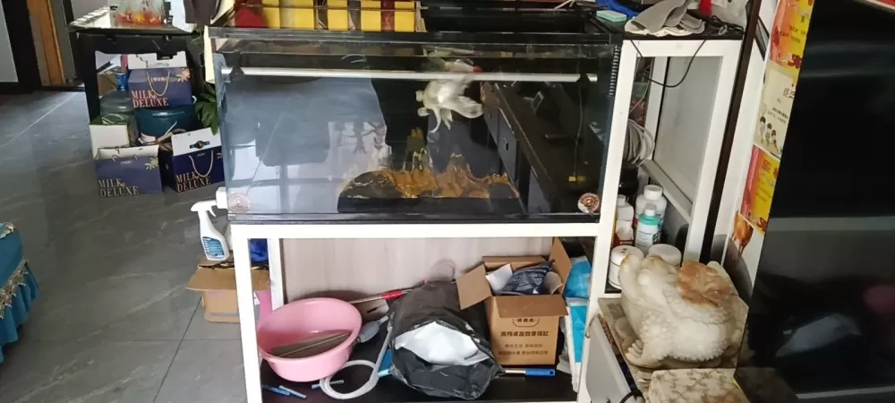 ༺ཽ赶路ོྂཾ࿆℘人ྂ操作证代办发布的动态配图2