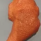 萝卜头像