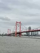 花生头像