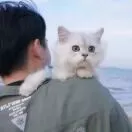 这个头像