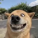 7头像