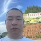 新店黑娃清水鱼头像