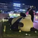 你好吗头像