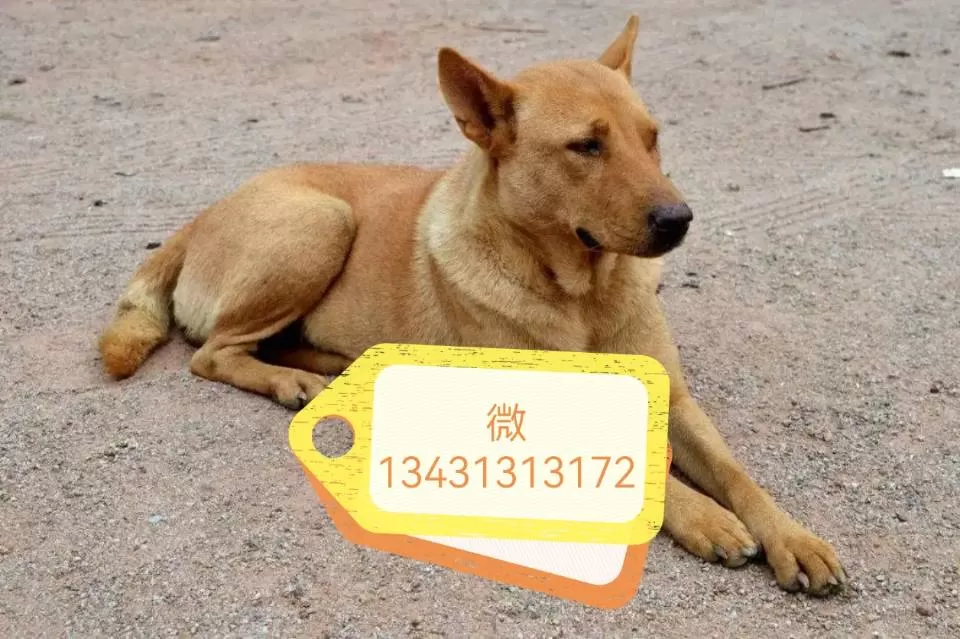 李先森发布的动态配图1