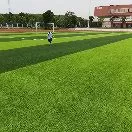 大大幸福头像