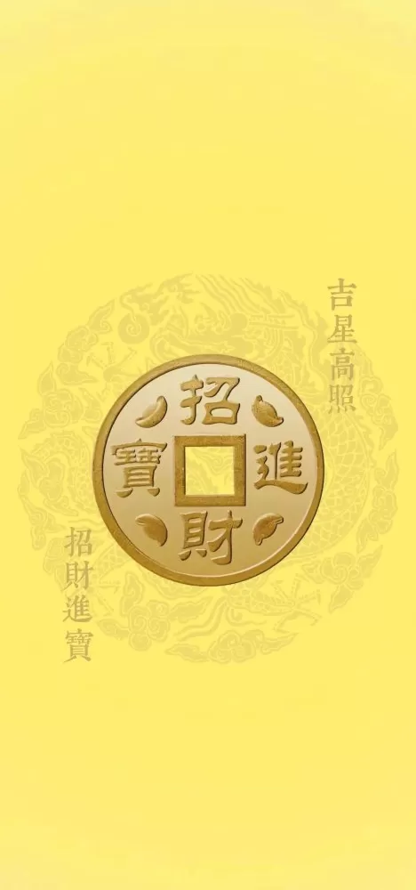 二胡小姐姐名片头像