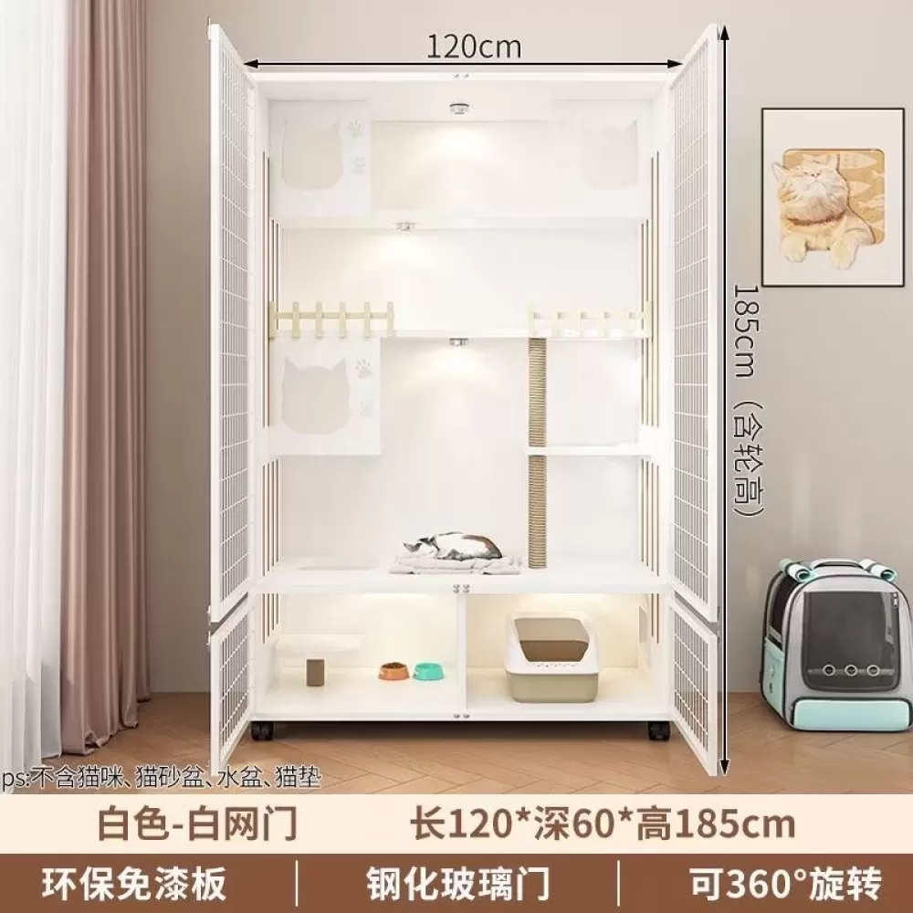 猫咪发布的动态配图1