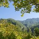 登山头像
