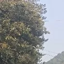 我头像