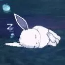 水母🪼头像