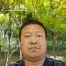 老许修车头像
