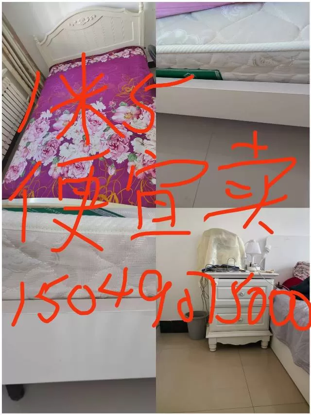 妃儿发布的动态配图1