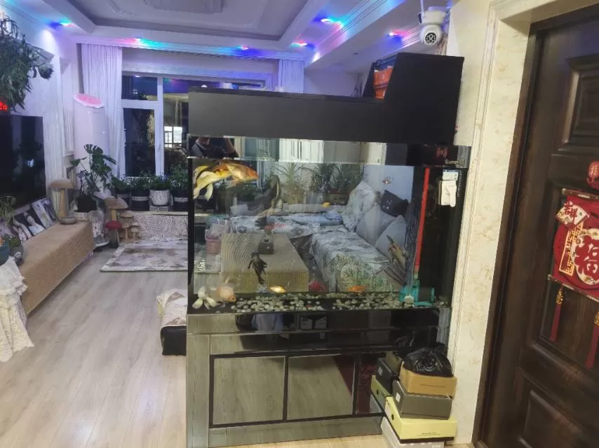 星夜发布的动态配图2