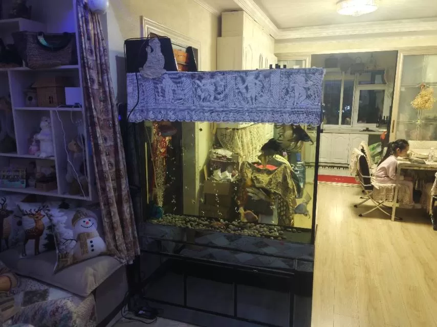 星夜发布的动态配图1