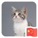 强头像