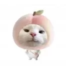 即桃头像