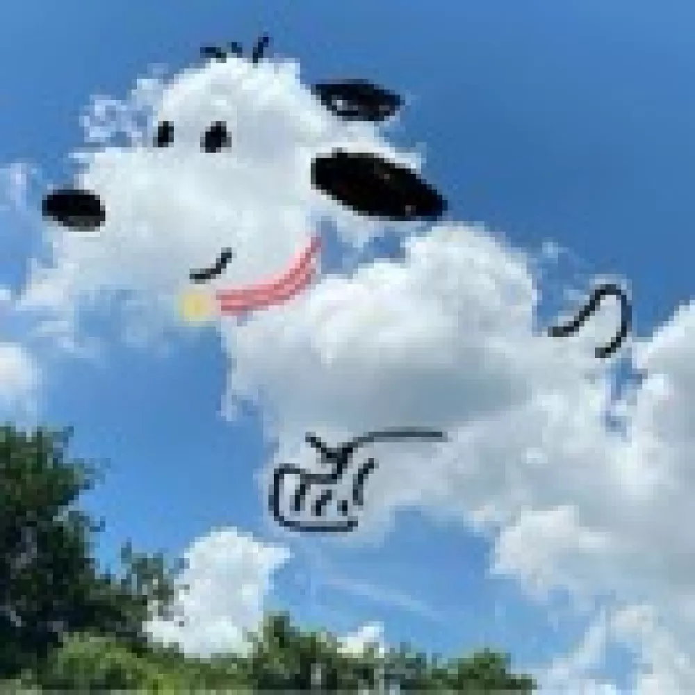 哈哈头像