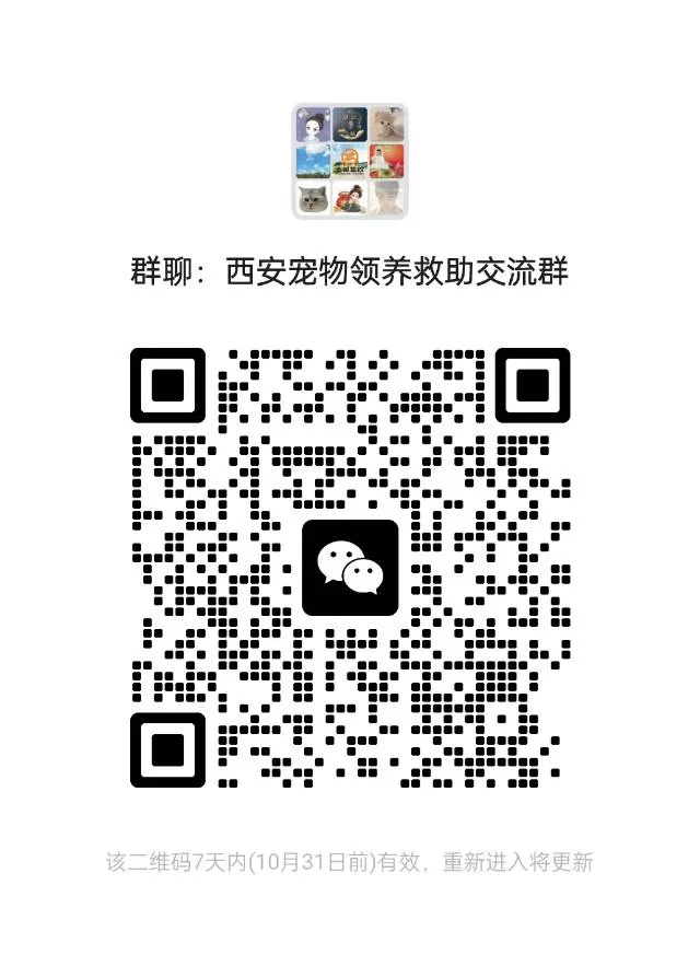 小白发布的动态配图1