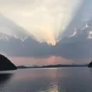 林头像