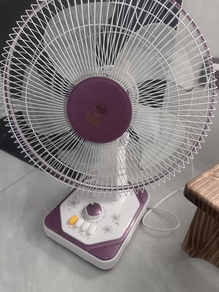 钻石牌风扇 七月份买的 没怎么用 要搬走了提前出 原价80是在超市买的