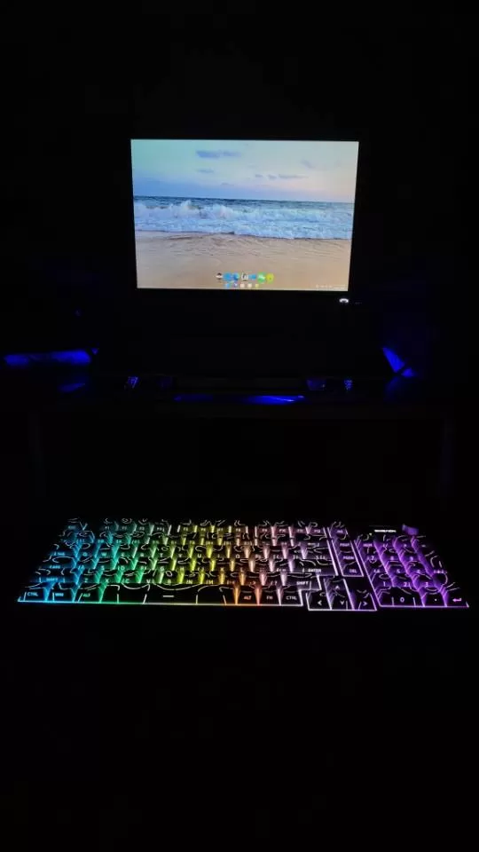 乖乖发布的动态配图1