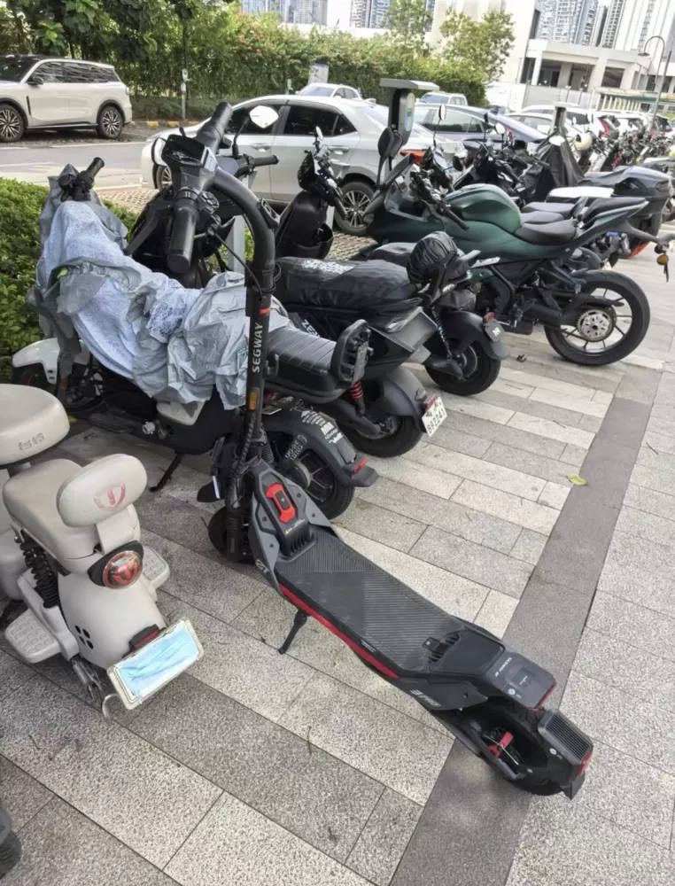 苗发布的动态配图6